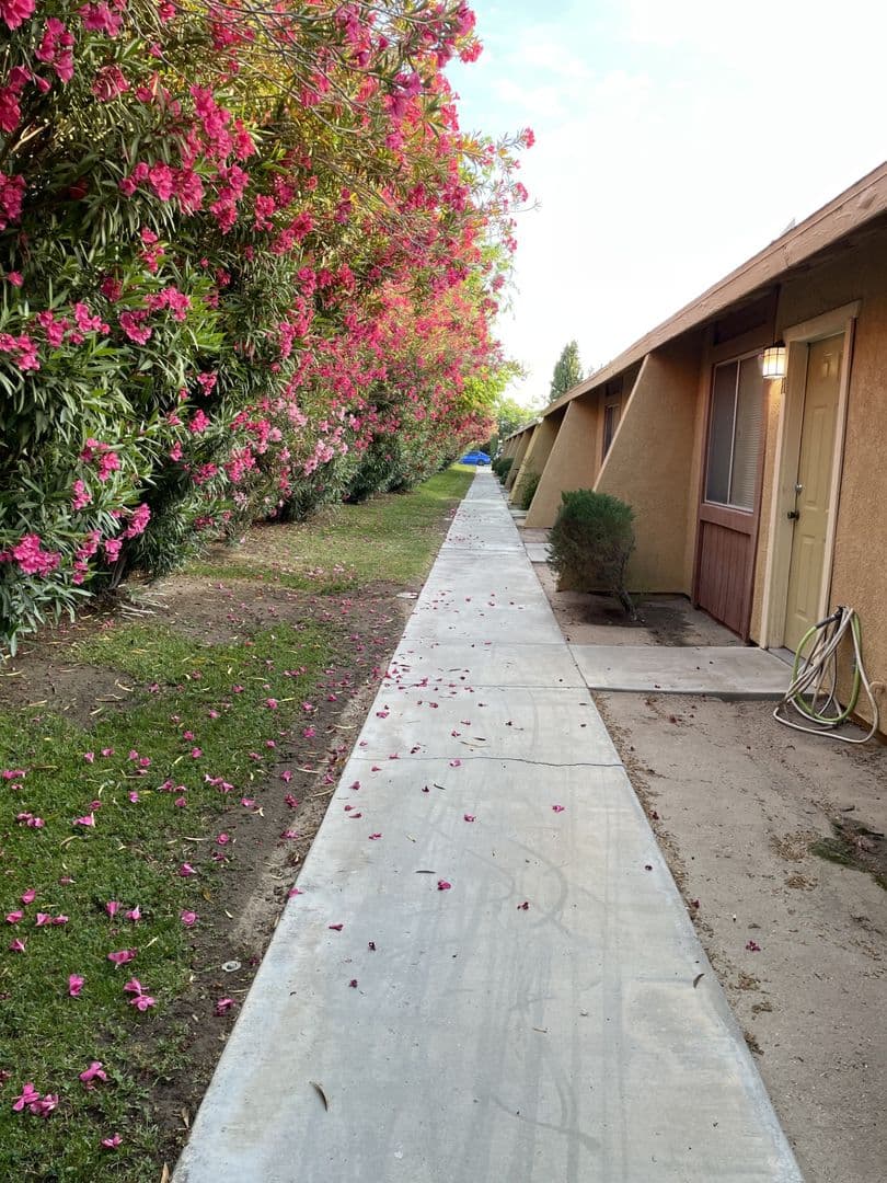 Ridgecrest Apartment: 405 Rick Ct