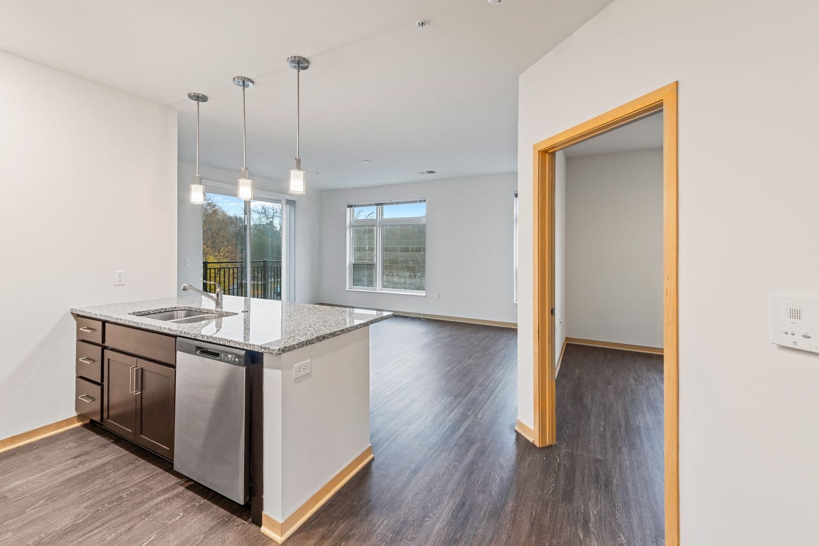 Madison Apartment: 1121 South Park Street