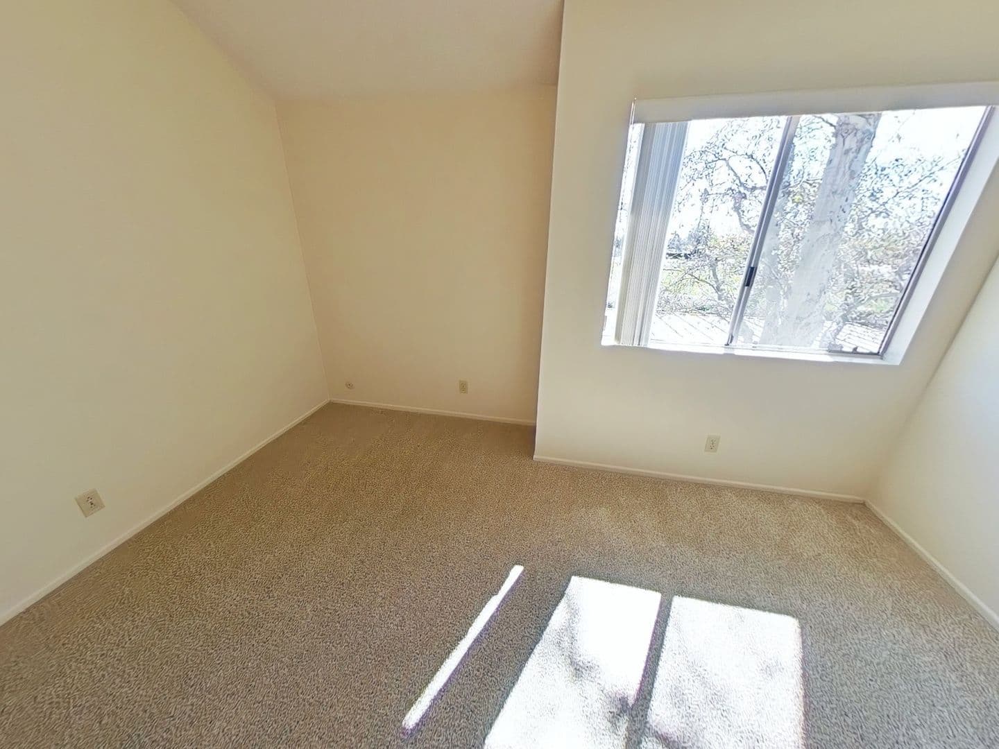 Ventura Apartment: 99 N Ashwood Ave
