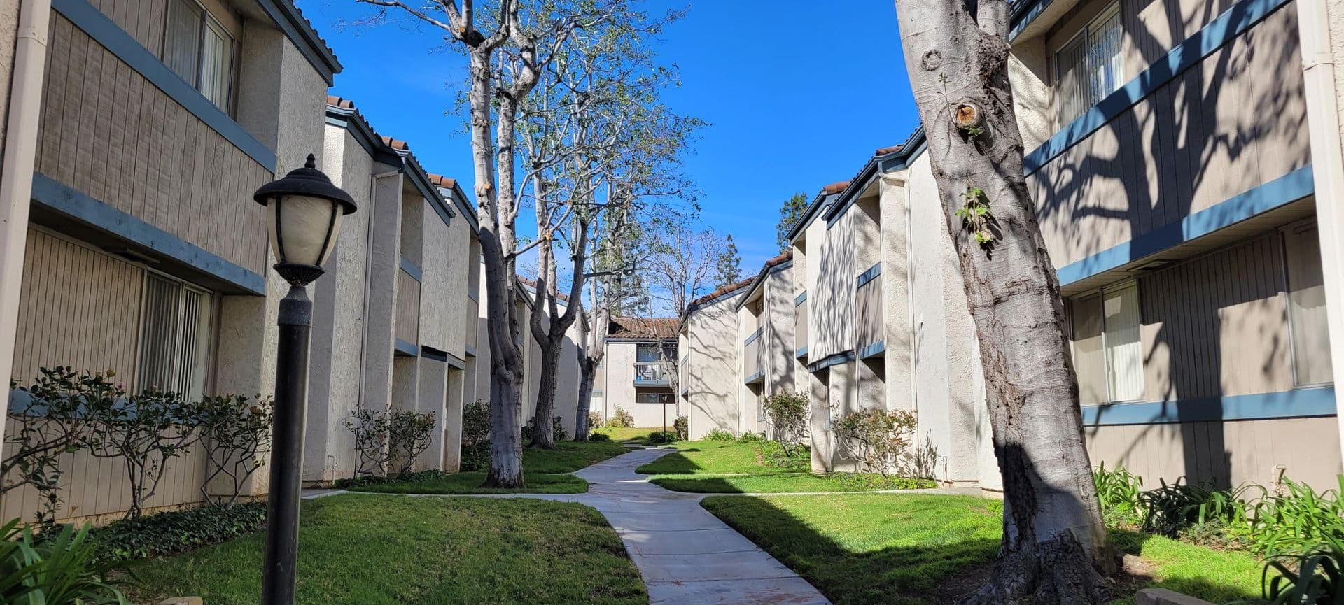 Ventura Apartment: 99 N Ashwood Ave