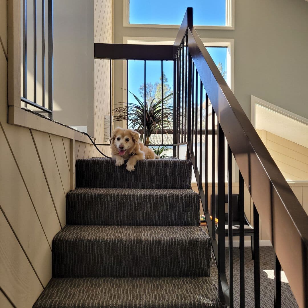 Ventura Apartment: 99 N Ashwood Ave