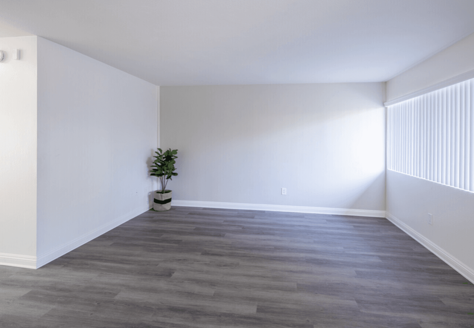 Artesia Apartment: 11562 186th Street