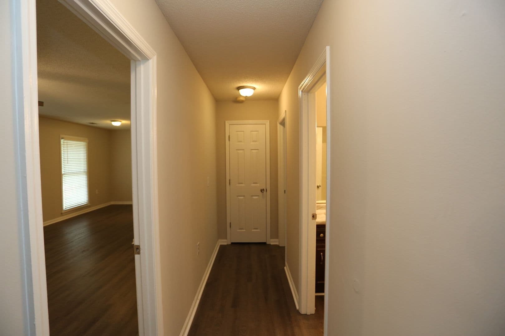 Statesboro Multiplex: 203A Courtney Way