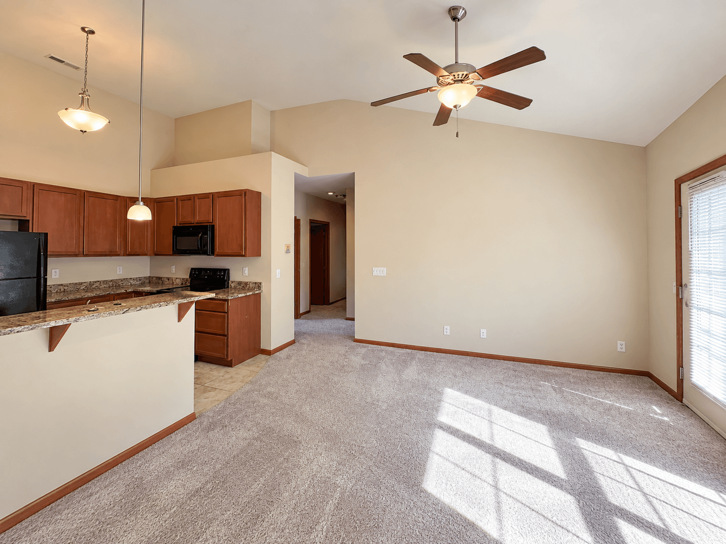 Madison Apartment: 1517 Martin St.