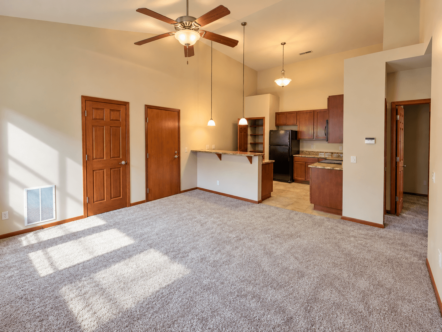 Madison Apartment: 1517 Martin St.