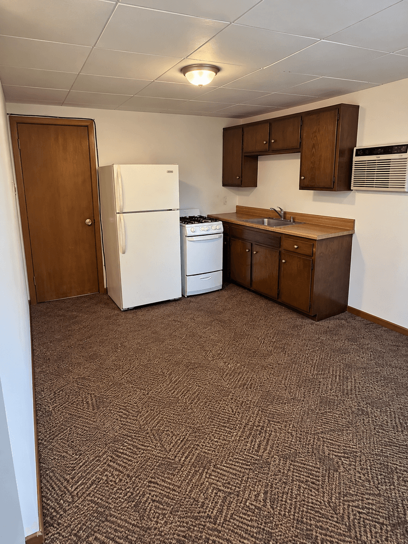 Wisconsin Dells Apartment: 131-155 W Adams Street