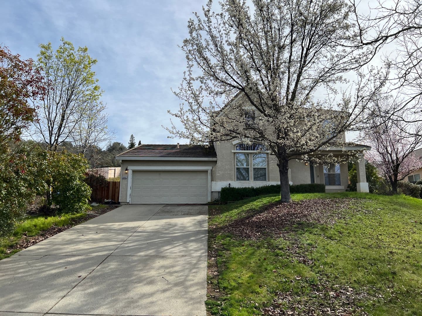 Cameron Park House: 6082 Connery Drive