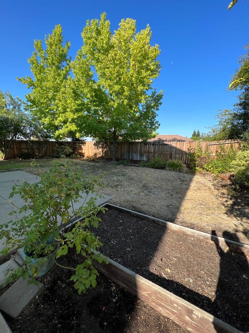 Folsom House: 1017 Halidon Way