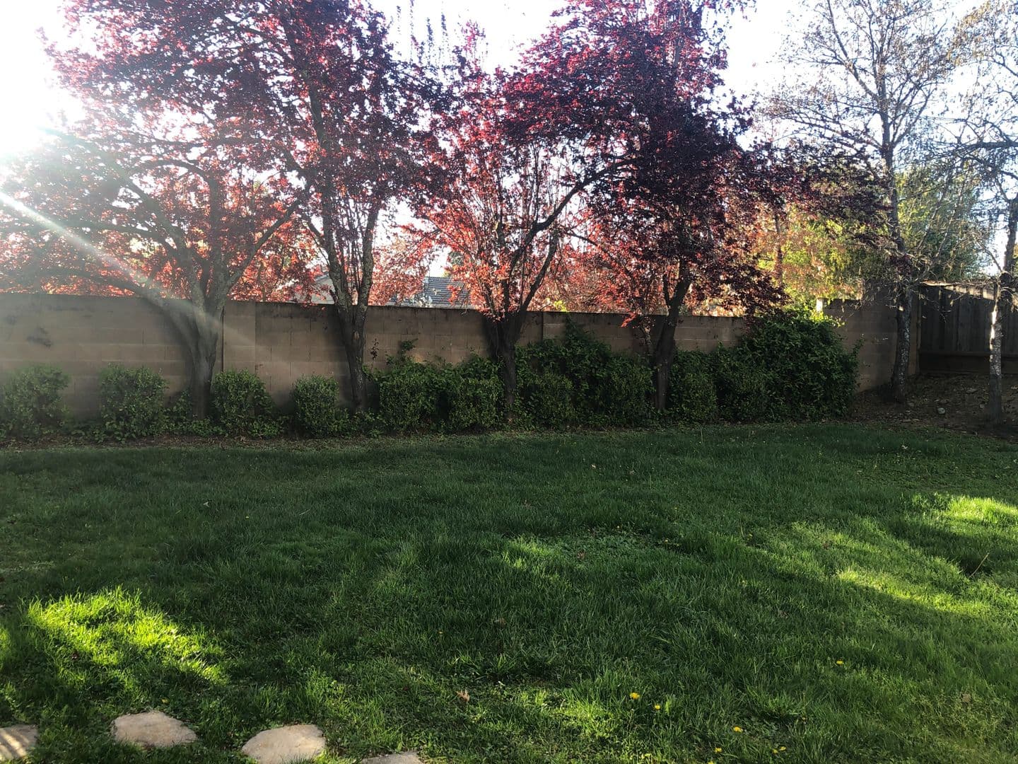 Folsom House: 105 Honey Cook Circle