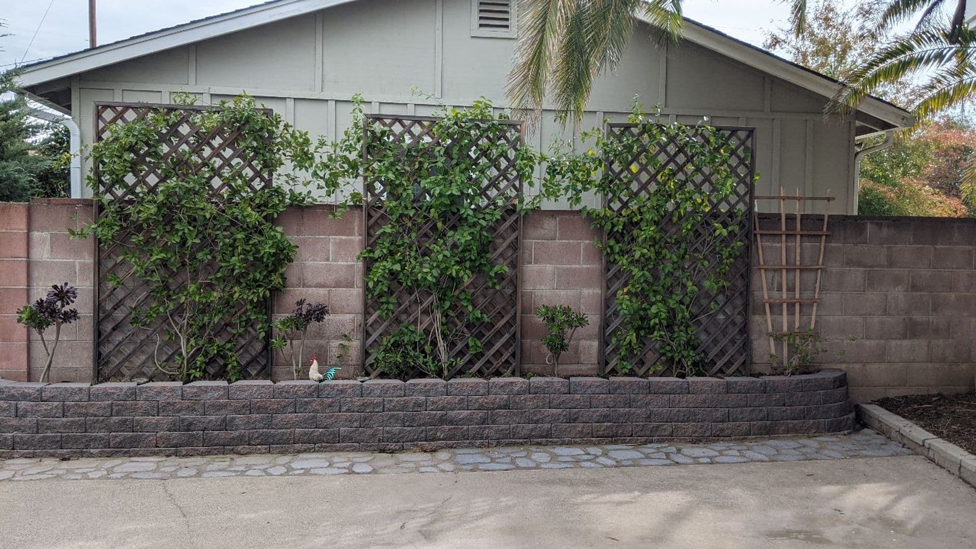 Folsom House: 701 Wales Drive