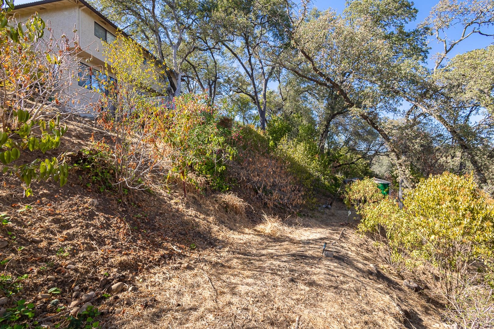 Folsom House: 110 Rock Ravine Court
