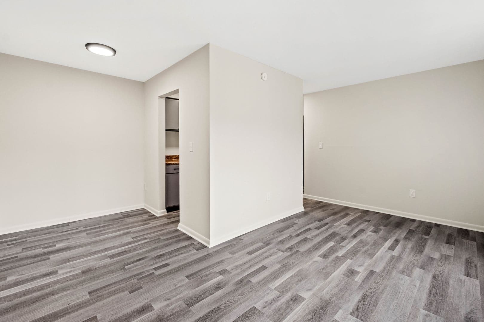 Beaver Apartment: 427 Wayne St