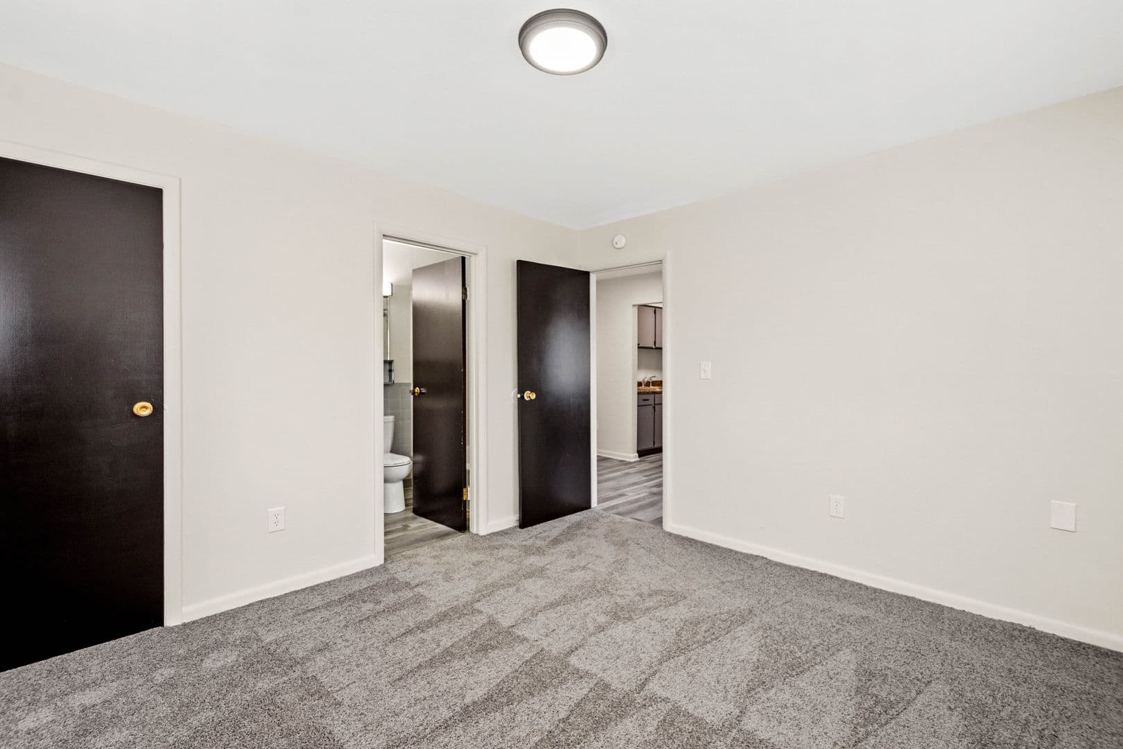 Beaver Apartment: 427 Wayne St