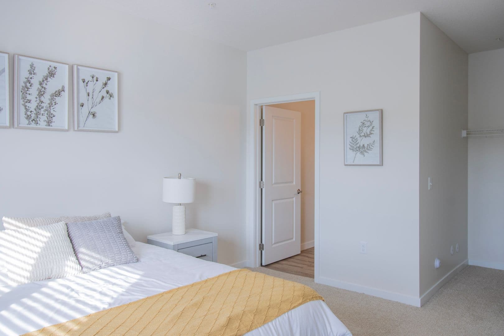 Annandale Apartment: 160 Ash Street East