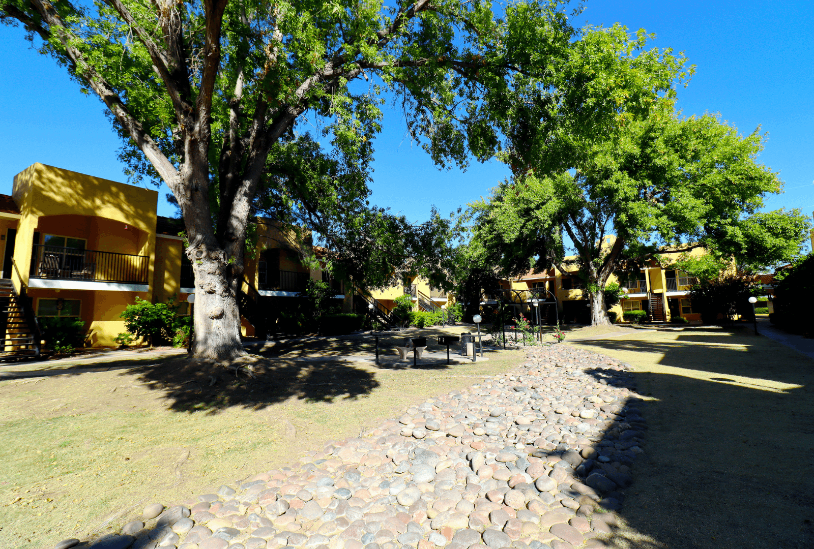 Tucson Apartment: 8550 East Speedway Blvd