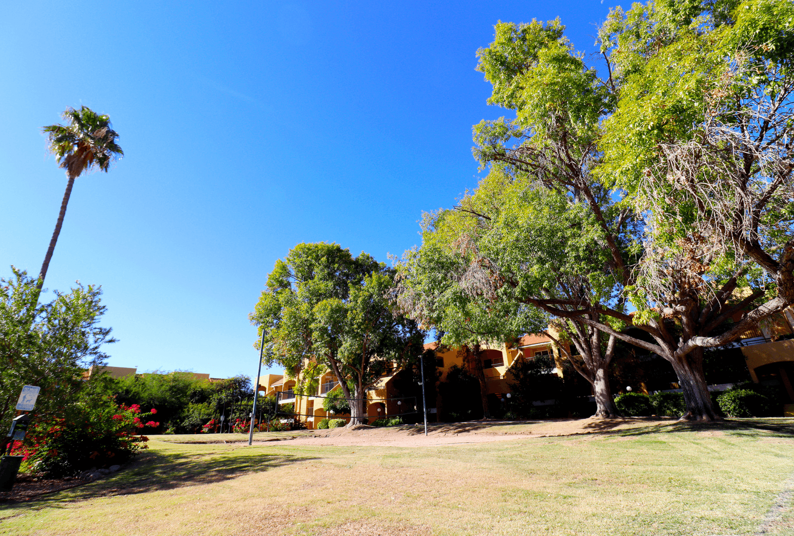 Tucson Apartment: 8550 East Speedway Blvd