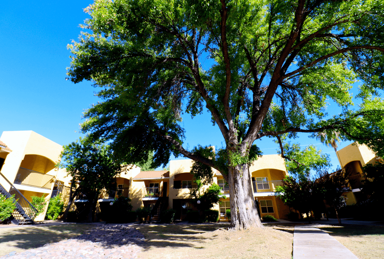 Tucson Apartment: 8550 East Speedway Blvd