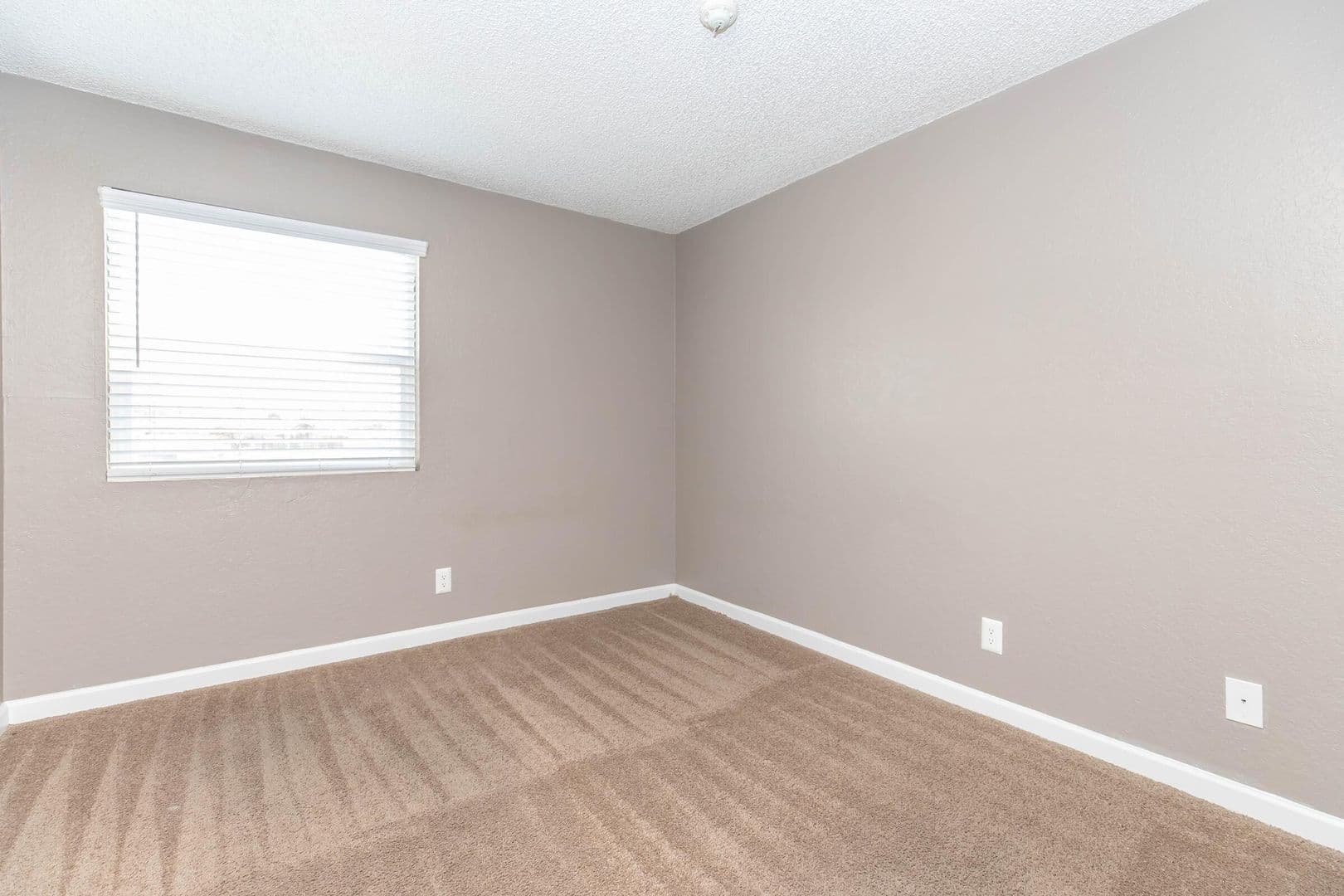 Tucson Apartment: 8550 East Speedway Blvd