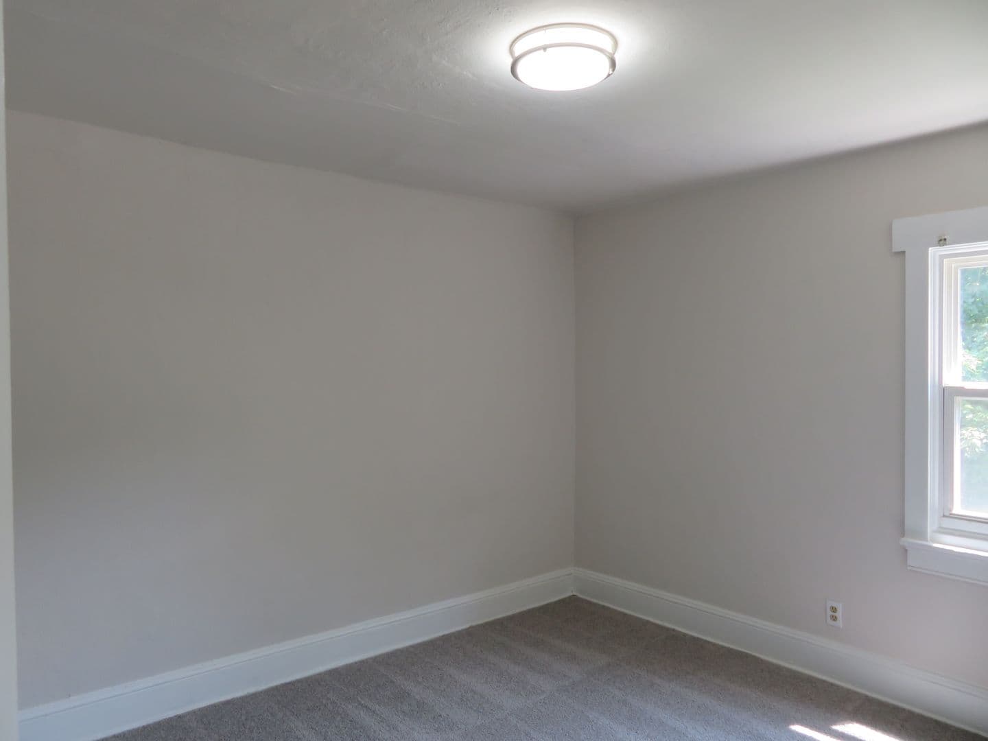 Petersburg Apartment: Farmer Street