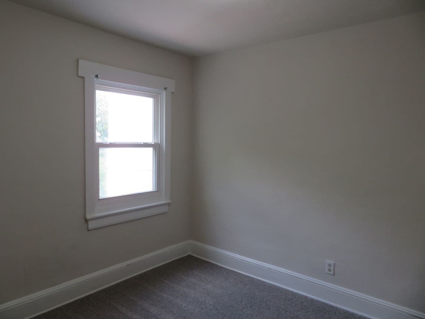 Petersburg Apartment: Farmer Street