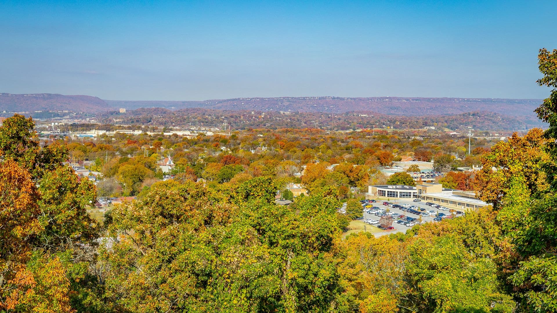 Chattanooga Apartment: 73 Shallowford Rd