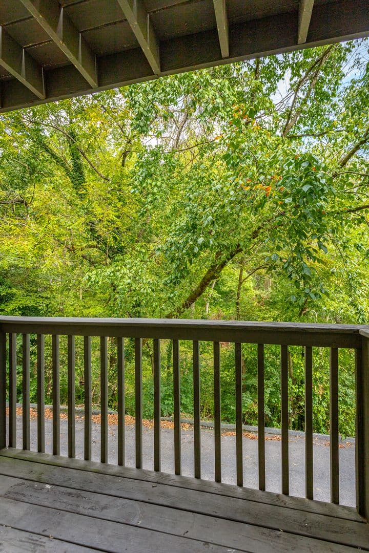 Chattanooga Apartment: 113 Goodson Ave