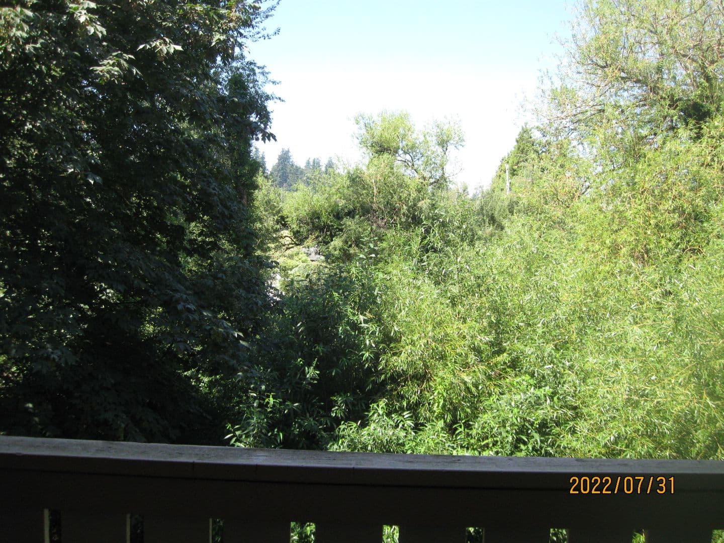 Bellevue Apartment: 417 Bellevue Way SE