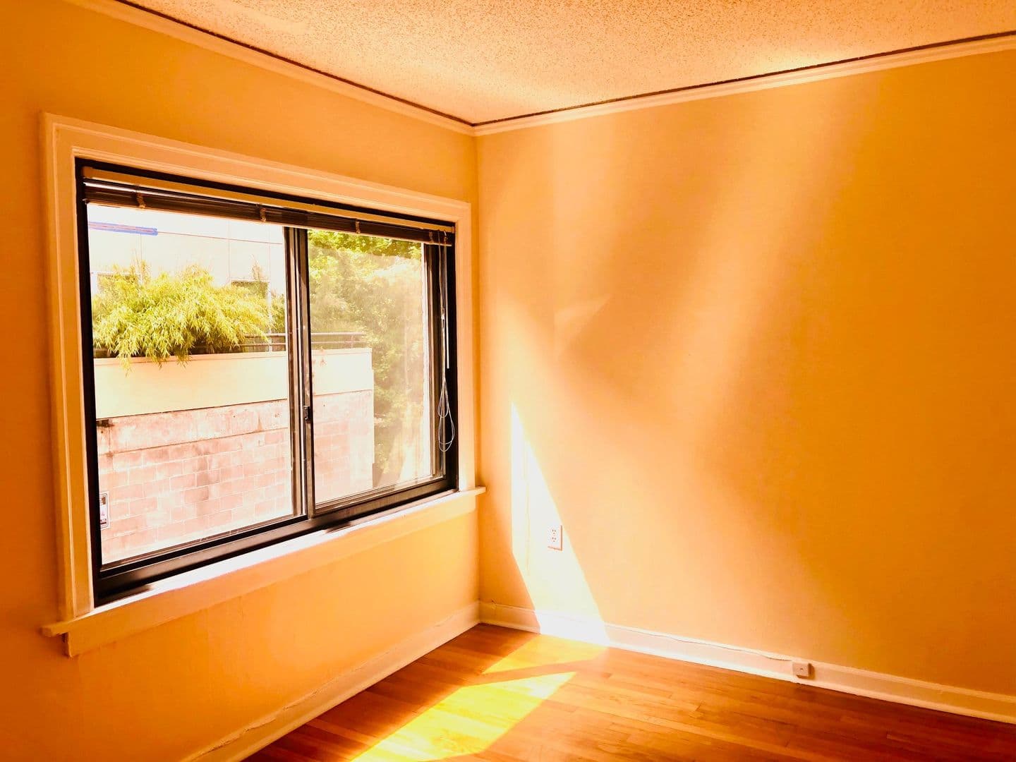 Seattle Apartment: 221 West Mercer Street