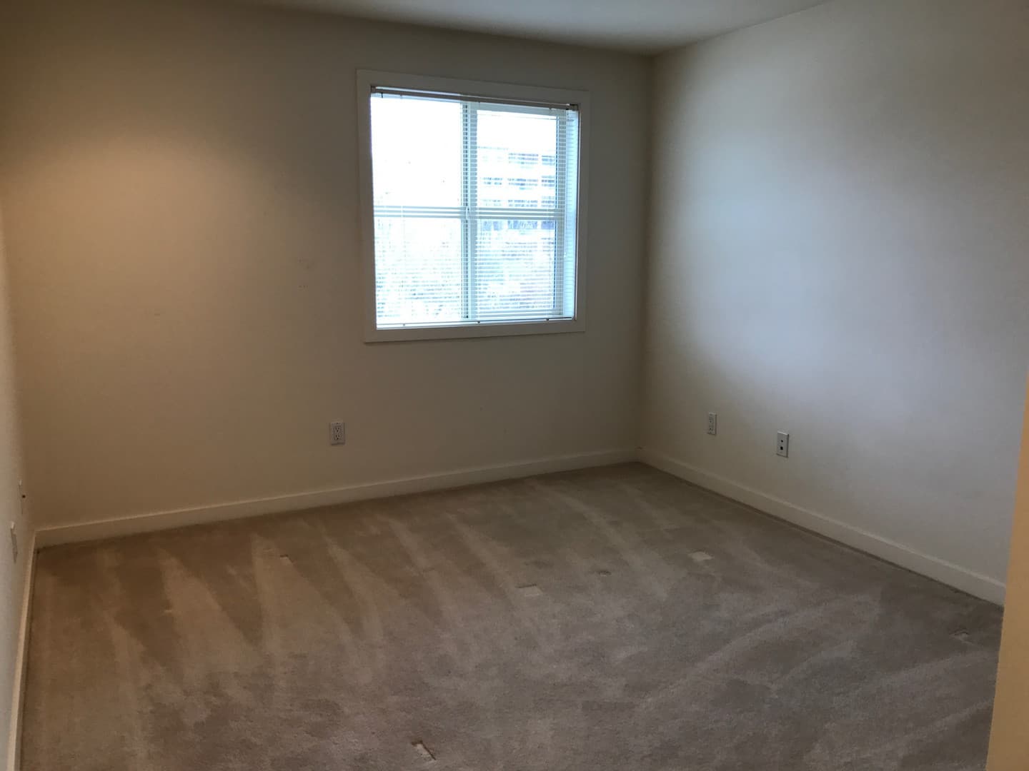 Mercer Island Apartment: 3011 78th Avenue SE