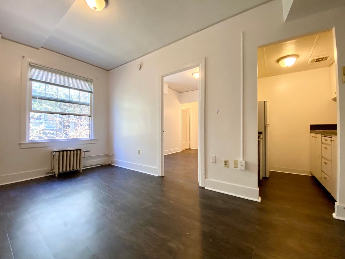 Seattle Apartment: 404 E. Howell St.