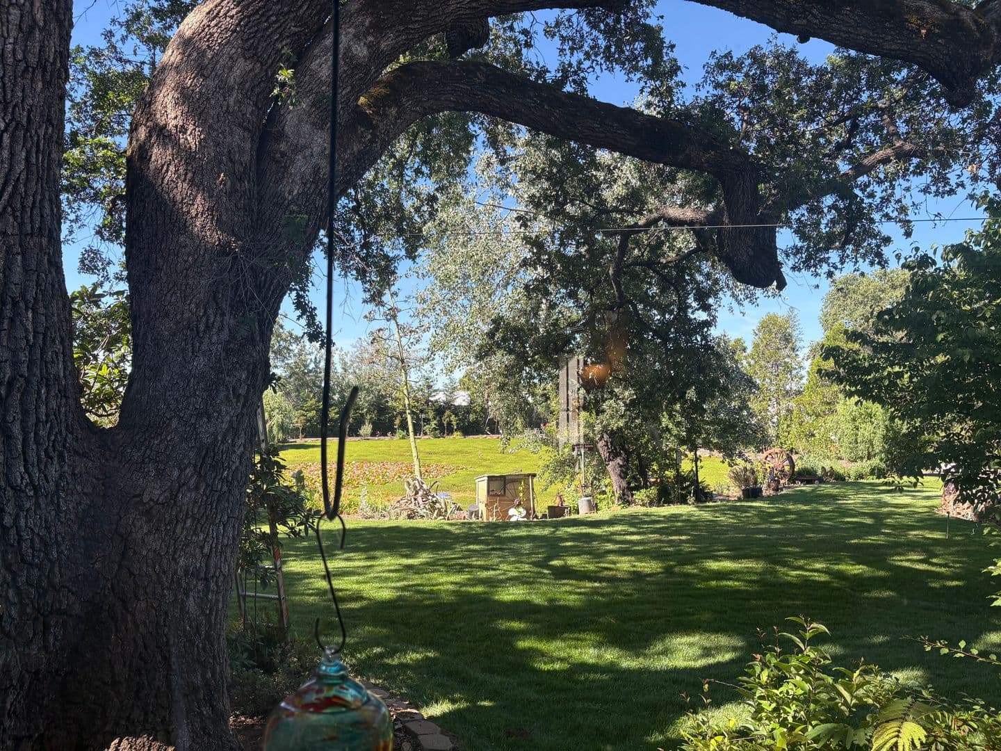 Paradise House: 5703 Chapel Drive