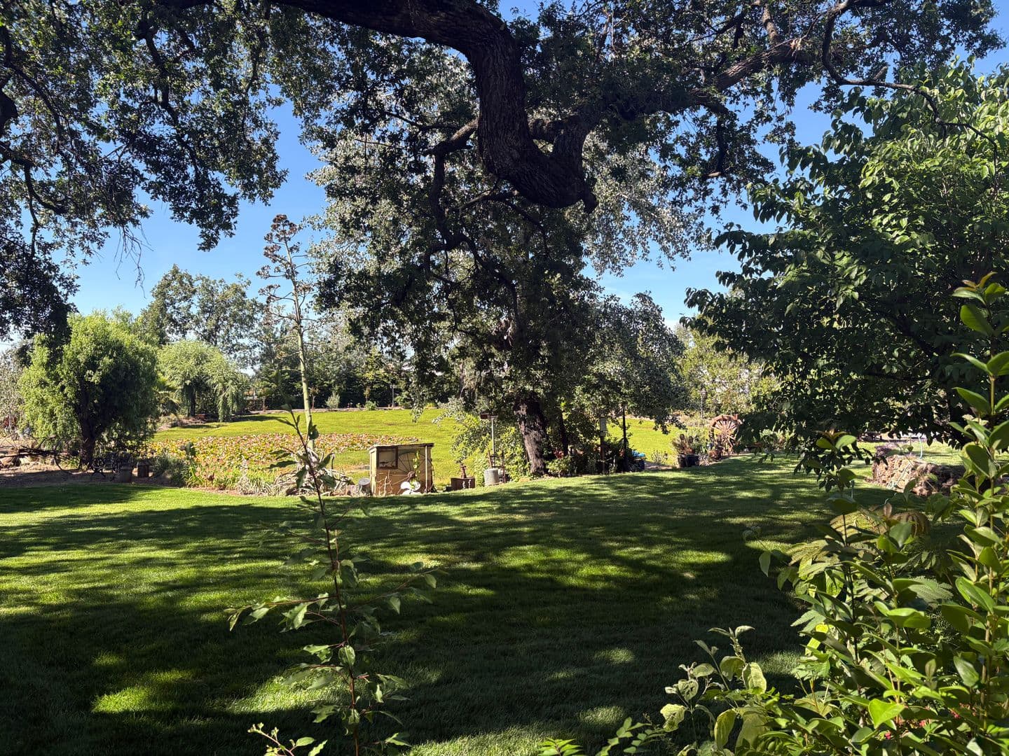Paradise House: 5703 Chapel Drive