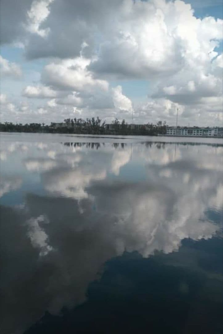 Miami House: 1175 Ne Miami Gardens Dr