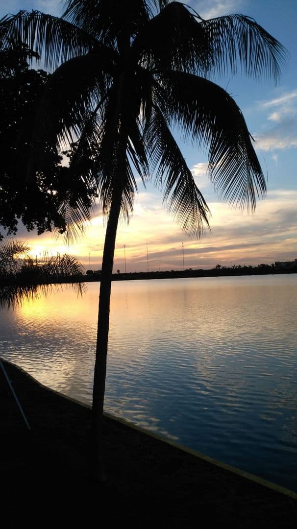 Miami House: 1175 Ne Miami Gardens Dr