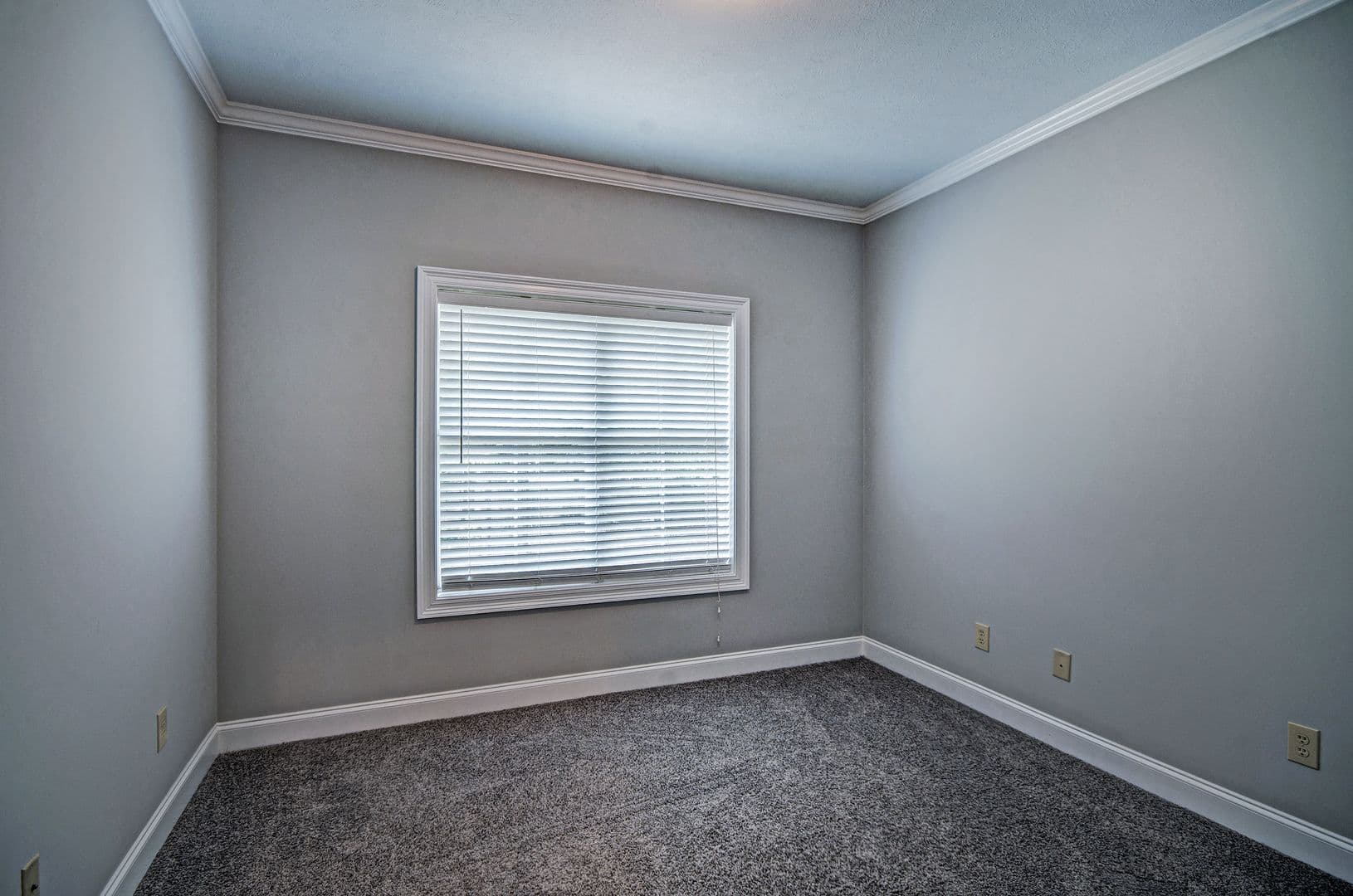 Canton House: 123 Cedar Green Dr