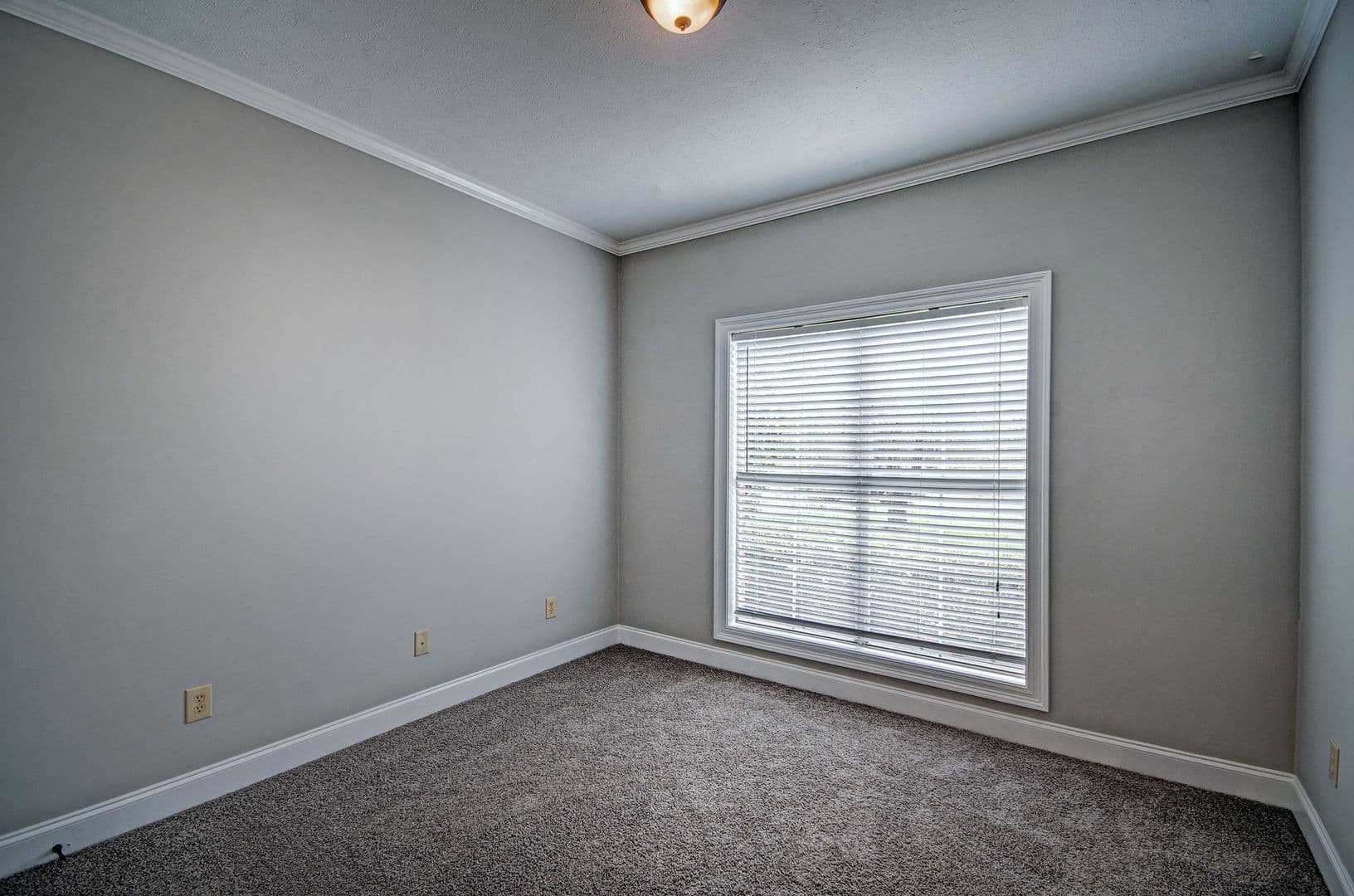 Canton House: 123 Cedar Green Dr
