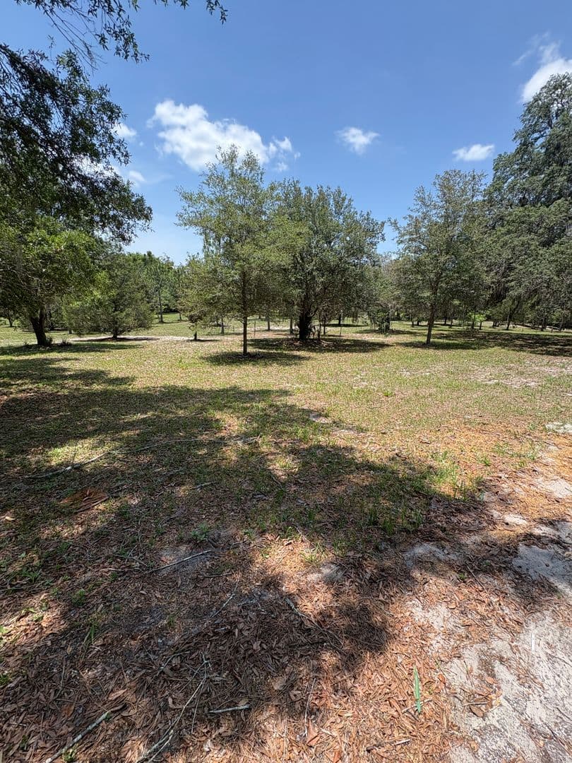 Deland House: 2227 Country Club Drive