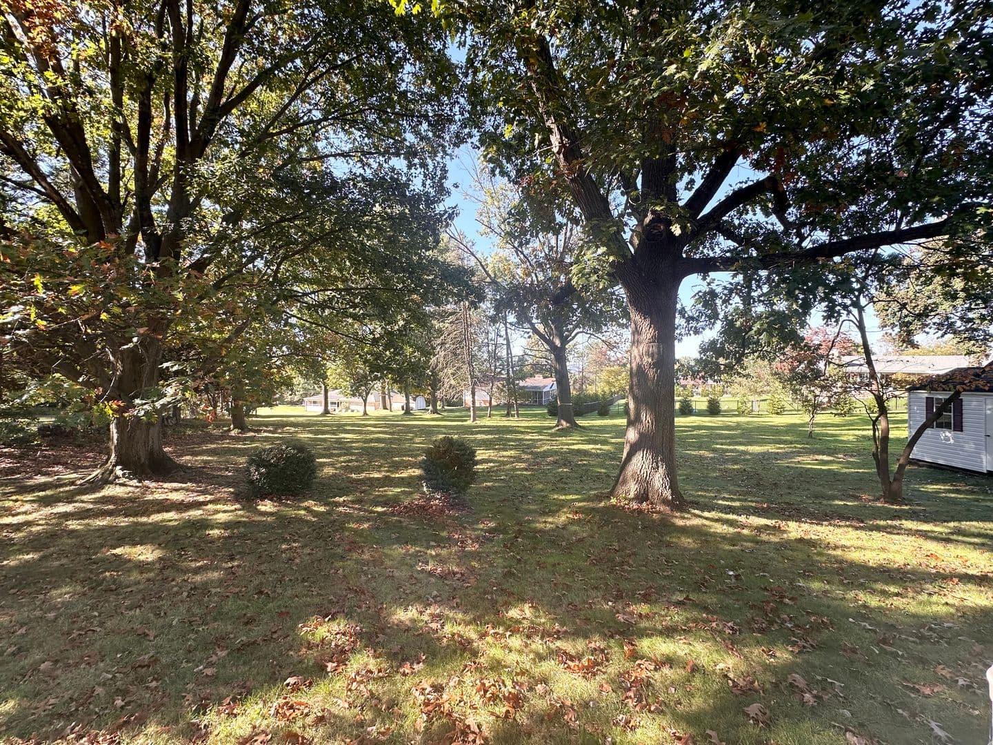 York House: 1671 Northview Rd