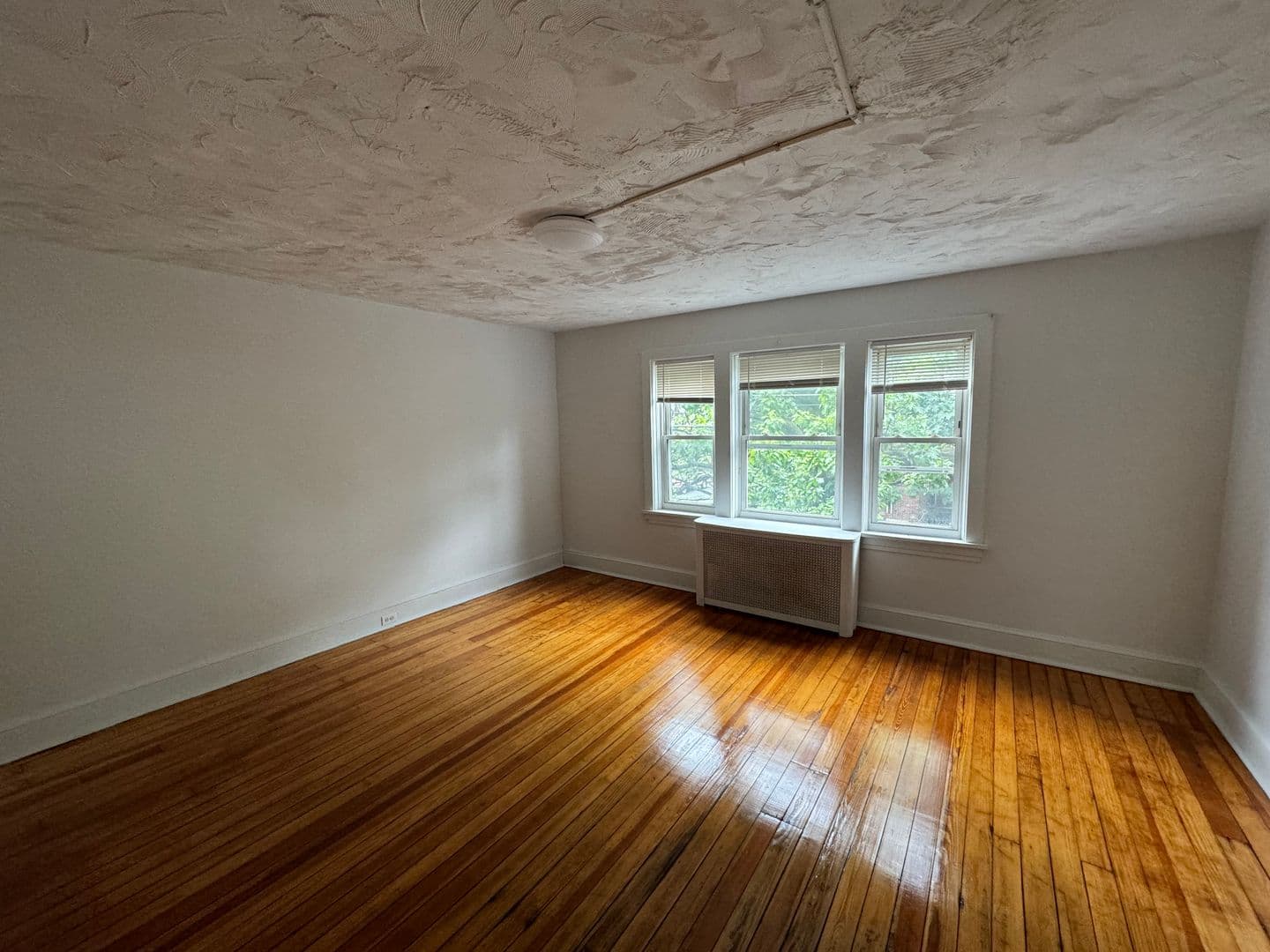 Harrisburg House: 445 S 17th Street