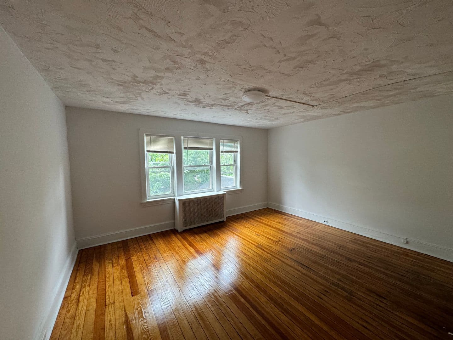 Harrisburg House: 445 S 17th Street