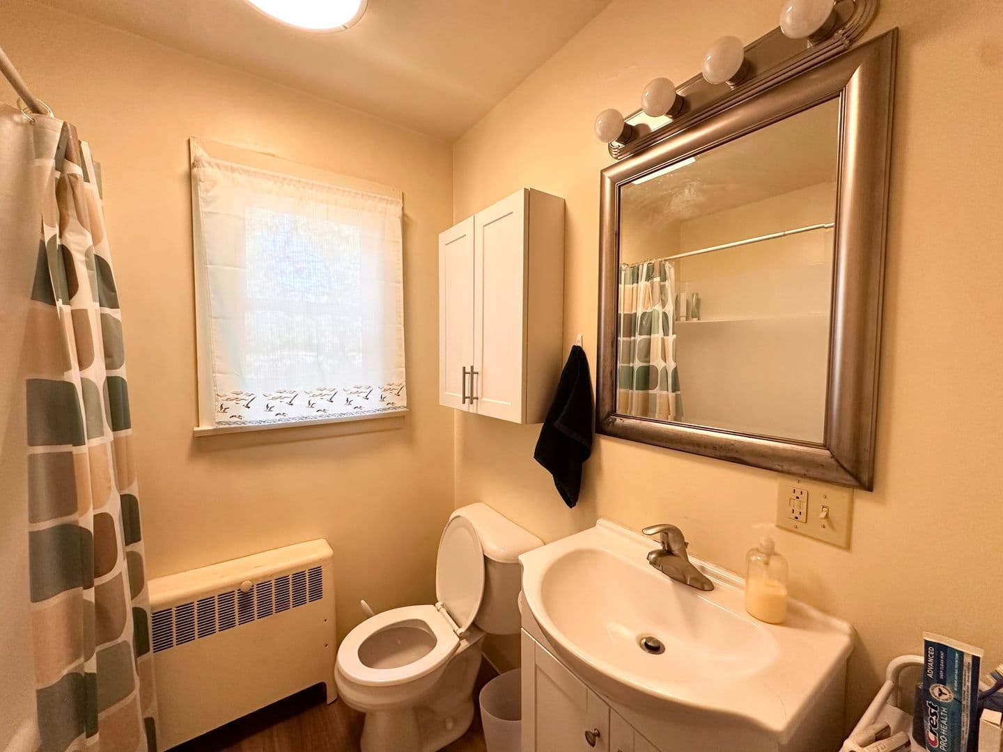 Hershey Apartment: 225-227 W Areba Ave