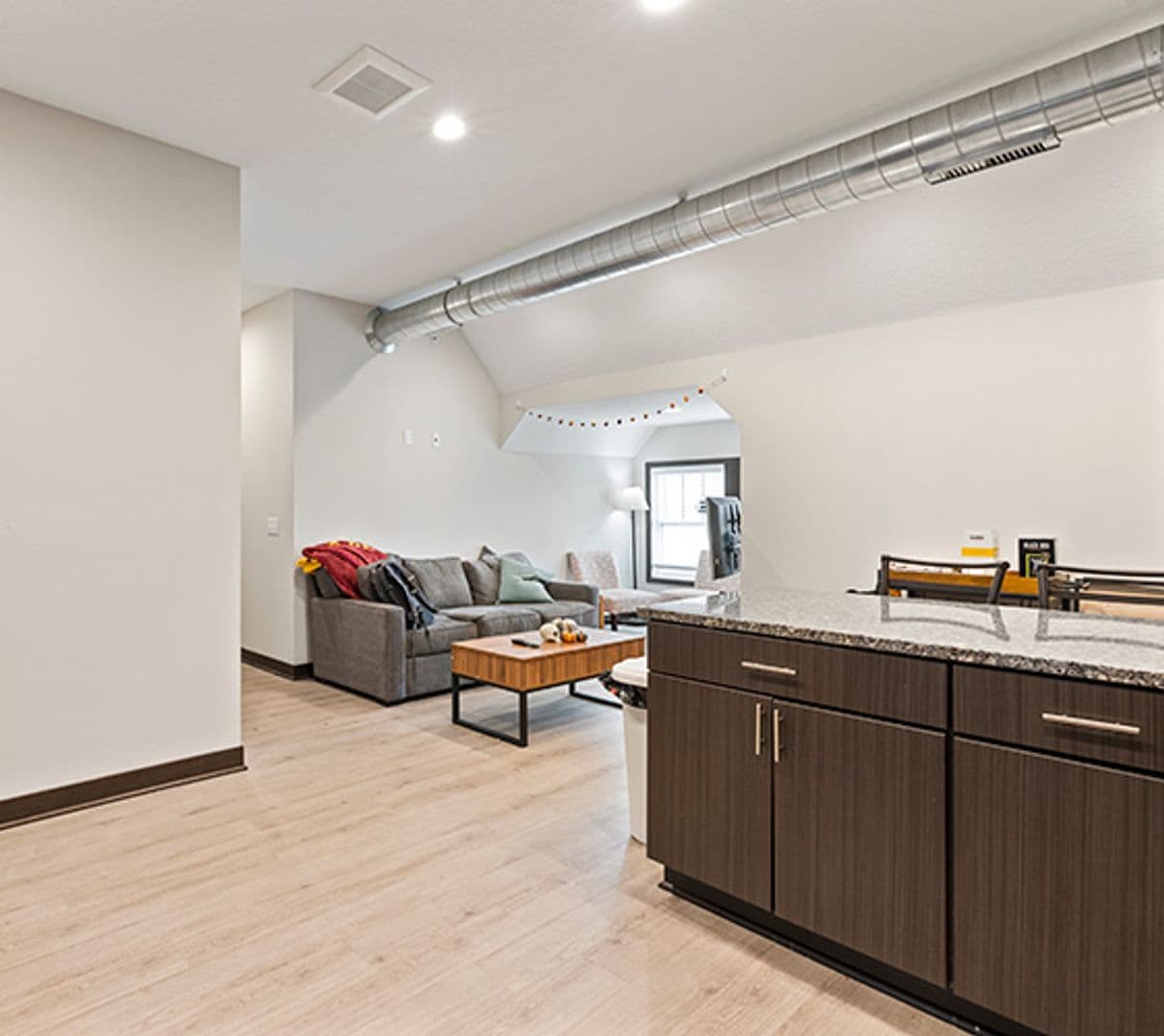 Minneapolis Apartment: 712 4th St SE