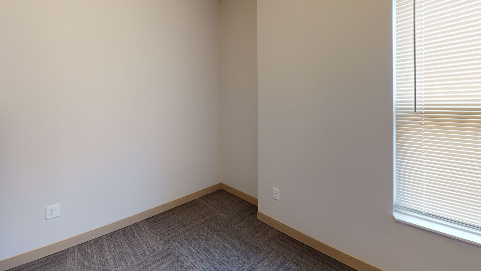 Minneapolis Apartment: 1011 & 1015 4th St SE