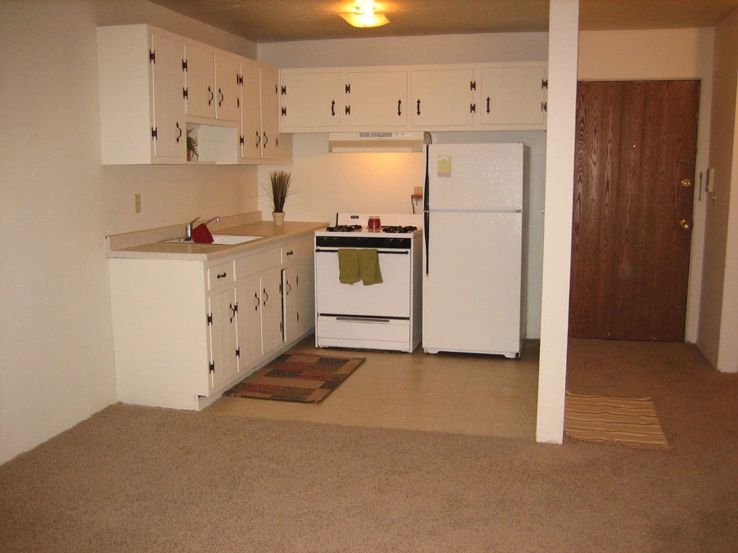 Minneapolis Apartment: 1405 5th St SE