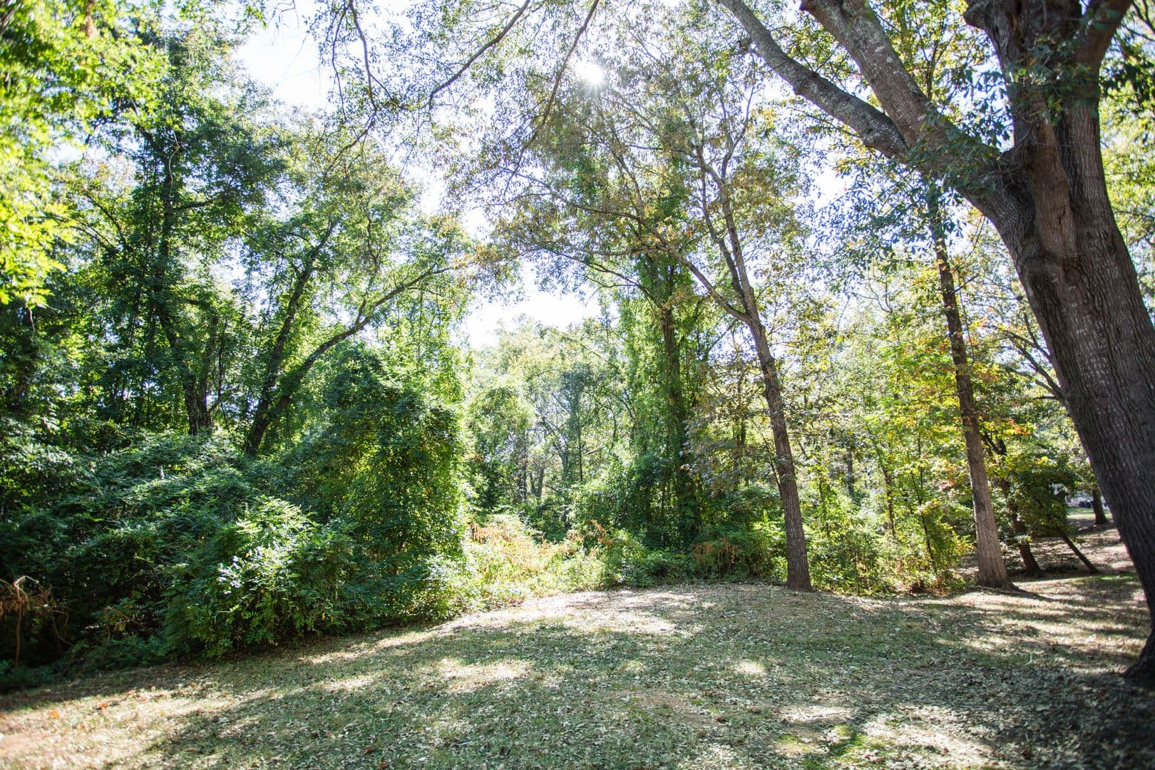 Athens House: 105 Woody Dr. Unit B