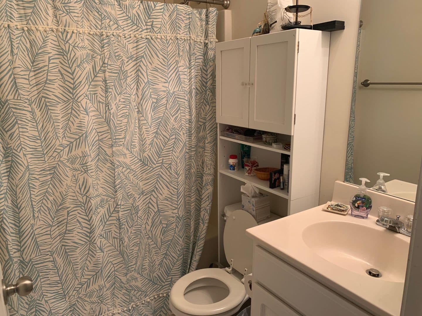 Athens House: 207 Oconee River Circle