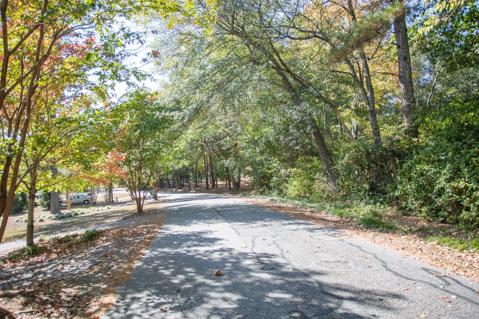 Athens House: 105 Woody Dr. Unit B
