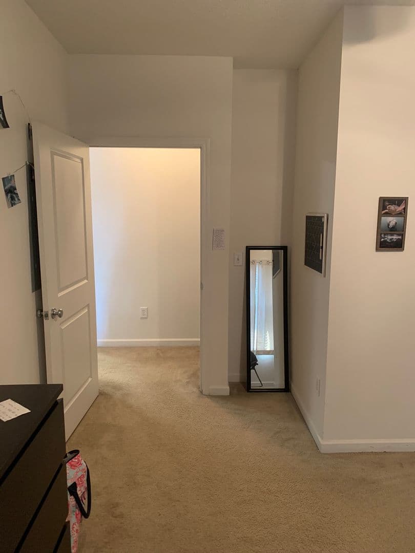 Athens Apartment: 2375 South Lumpkin Street