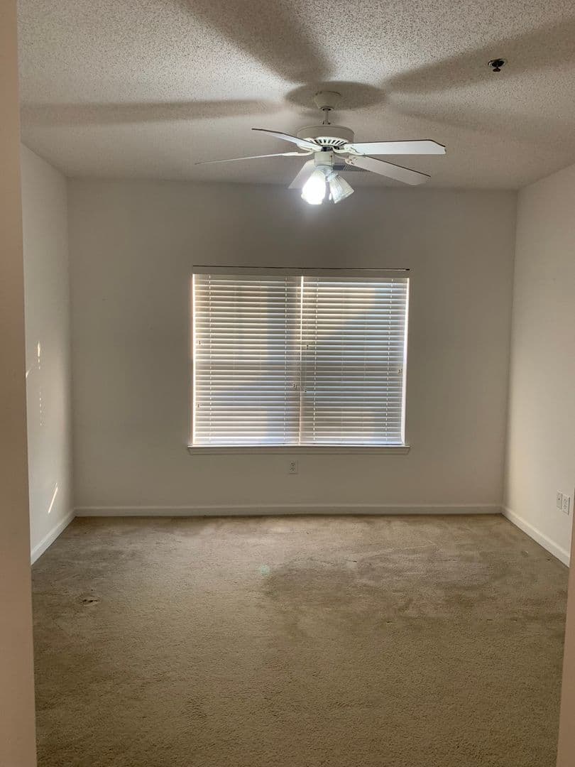 Athens Apartment: 2375 South Lumpkin Street