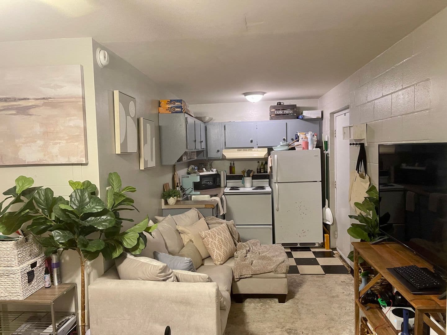 Athens Apartment: 176 Georgia Ave.